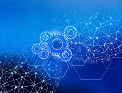 network network