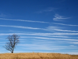 rural rural