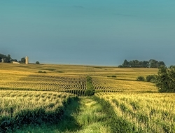Iowa farm Iowa farm