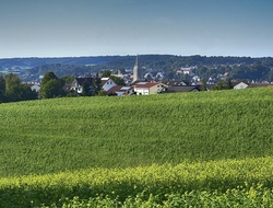 rural rural