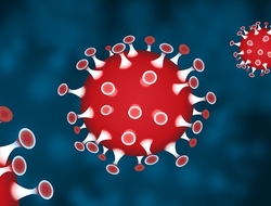 coronavirus coronavirus