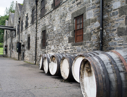 Whisky barrels Spirits barrels