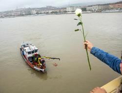 Danube Boat Collision Newscred Travel Group Only Editorial A woman throws a flower from the Margaret Bridge during a search operation on the River Danube in Budapest, Hungary.
