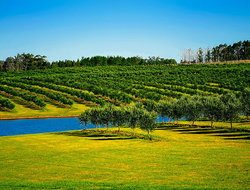 Uruguay Pixabay Uruguay