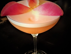 Rose Ginvino cocktail at The Willaston Bar at The Silo Hotel Rose Ginvino cocktail