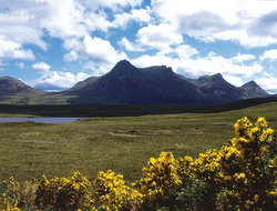 Ben Loyal Scotland // Photo DEREKMcDOUGALL/iStock/Getty Images Plus/Getty Images Ben Loyal Scotland
