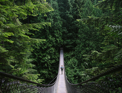 Adventure Travel Getty Man on an adventure exploring a lake and walking a suspension bridge