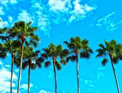 Florida Florida