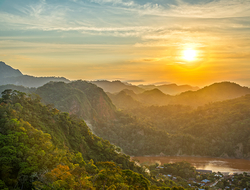 Amazon Rainforest - DC_Colombia/iStock/Getty Images Plus/Getty Images Amazon Rainforest - DC_Colombia/iStock/Getty Images Plus/Getty Images